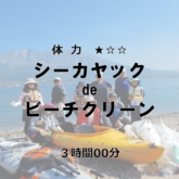 スクリーンショット 2025-01-14 13.44.13