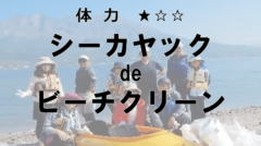 スクリーンショット 2025-01-14 13.44.13