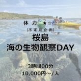 スクリーンショット 2025-05-17 9.49.41