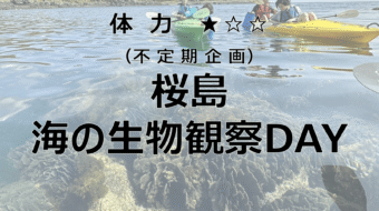 スクリーンショット 2025-05-17 9.49.41