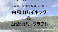 スクリーンショット 2025-03-17 12.08.02